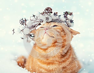 Portrait of a kitten wearing Christmas wreath