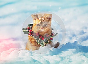 Portrait of a kitten wearing a Christmas wreath