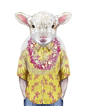 Portrait of Lamb in a summer shirt with Hawaiian Lei.