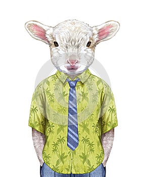 Portrait of Lamb in a summer shirt with tie.