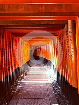 PORTRAIT LANDSCAPE FUSHIMI INARI TAISHA KYOTO JAPAN