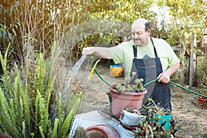 Portrait of a late middle age latin farmer man watering potted plants in his backyard organic garden