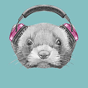 Portrait of Least Weasel with headphones.