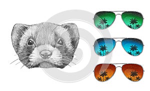 Portrait of Least Weasel with mirror sunglasses.