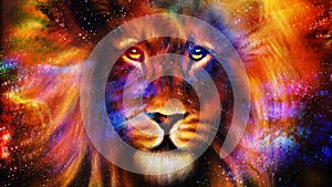 Portrait lion in cosmic space. Eye contact.