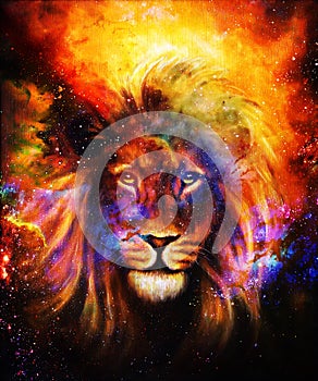 Portrait lion in cosmic space. Eye contact.