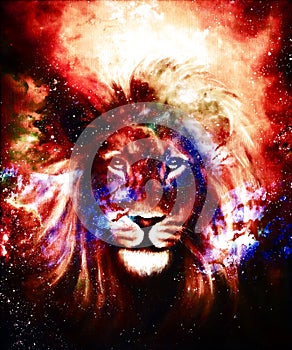 Portrait lion in cosmic space. Eye contact.