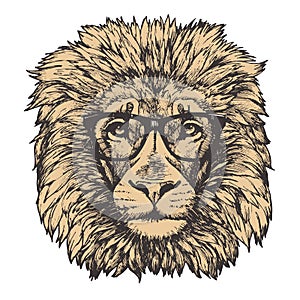 Portrait of Lion with glasses
