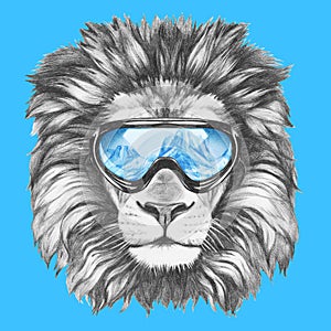 Portrait of Lion with ski goggles.