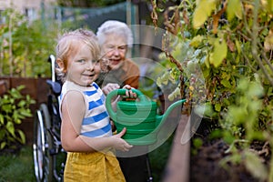Portrait of a little adorable girl helping her grandmother in the garden, watering plants, takes care of vegetables