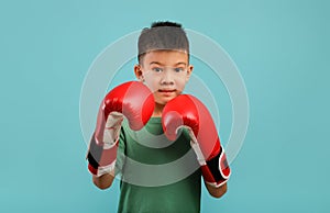 Portrait Of Little Asian Boy Wearing Boxing Gloves Posing Over Blue Background