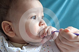 Portrait of little baby boy eating food. Baby with a spoon in feeding chair. Cute baby eating first meal