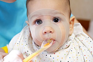 Portrait of little baby boy eating food. Baby with a spoon in feeding chair. Cute baby eating first meal