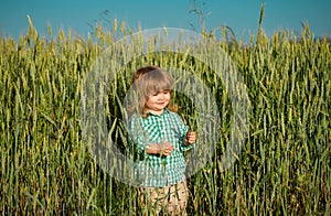 Portrait of a little baby boy in a wheat field outdoor in the farm. Small farmer. Kids farming and gardening of