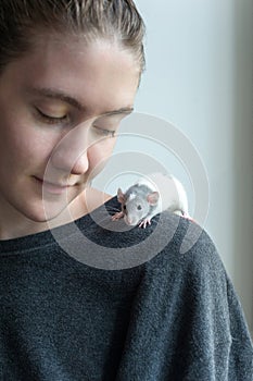 Portrait of little baby rat sitting on young girl shoulder