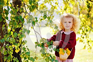 Portrait of a little blonde girl in a burgundy sweater near the foliage of a birch tree