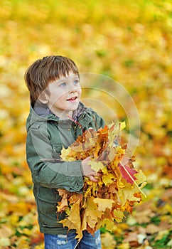 Portrait of a little boy with autumn park