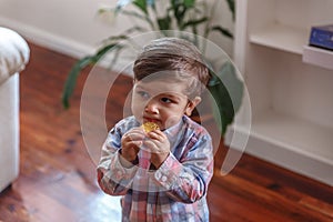 Portrait of a little boy eating a cookie while looking at the camera