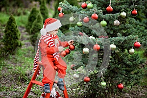 Portrait of a little boy in elf hat and red sweater near the christmas tree and holding decoration