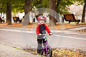 Portrait of a little boy siting on balance bike