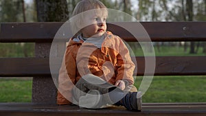 Portrait of little boy sitting on bench in park. Cute kid spending time outside.