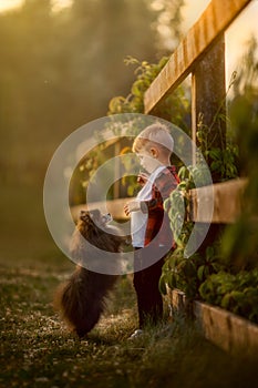 Portrait of a little boy with small dog in the park