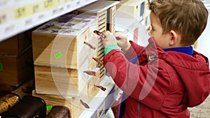 Portrait of a little boy in the store. The kid opens a wooden box and looks into it. Little byer concept.