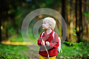 Portrait of little boy walking during the hiking activities in forest