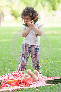 Portrait of little Caucasian cute girl holding sliced watermelon and enjoy eating or biting fresh fruit while picnic at park.