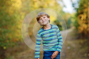 Portrait of little cool kid boy in forest. Happy healthy child having fun on warm sunny day early autumn. Family, nature