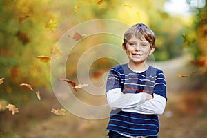 Portrait of little cool kid boy in forest. Happy healthy child having fun on warm sunny day early autumn. Family, nature