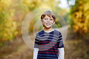 Portrait of little cool kid boy in forest. Happy healthy child having fun on warm sunny day early autumn. Family, nature