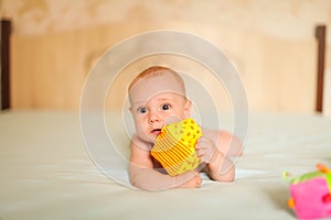 Portrait of little cute five month old caucasian baby lies on his stomach and plays with soft cubes in selective focus