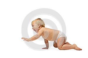 Portrait of little cute toddler boy, baby in diaper crawling isolated over white studio background. Side view