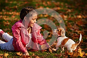 Portrait of a little girl on a background of blurred orange leaves in an autumnal sunny day.