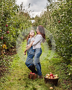 Portrait of little girl and beautiful mother in organic apple orchard happy and having fun