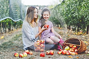 Portrait of little girl and beautiful mother with red apples in organic orchard. Happy woman and kid daughter picking