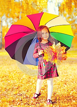 Portrait of little girl child with colorful umbrella in sunny autumn park