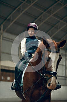 Portrait of little girl, child in helmet sitting on brown horse, training, practicing horseback riding.