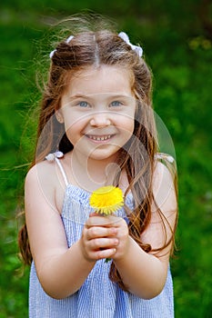 Portrait of a little girl with a dandelion. A child holds a yellow flower in his hands. Summer entertainment for families with