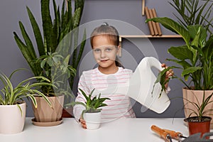 Portrait of little girl with dark hair watering plants, taking care care of indoor flowers, child helping her mother florist in
