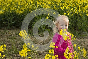 Portrait of a little girl in a field with