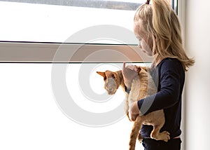 Portrait of a little girl with a ginger cat together looking out the window