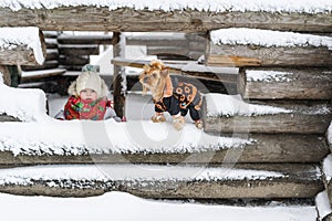 Portrait of the little girl and small dog against the background of the unfinished snow-covered house in the village