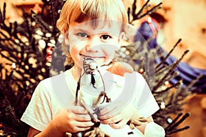 Portrait of a little happy five year old kid boy, holding gifts of a toy horse in his hands, looks at the camera on the background