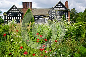 Portrait of Little Moreton Hall and flowers