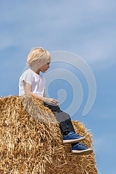 Portrait of little sad blond schoolboy on haystack, blue sky background. Harvesting. Summer holydays. Vertical frame photo