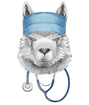 Portrait of Llama with doctor cap and stethoscope. Hand-drawn illustration.