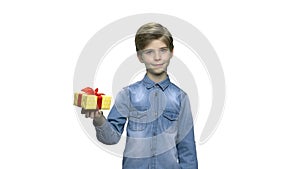 Portrait of lovely kid with gift box.