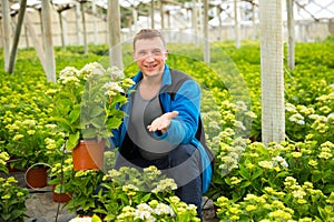 Farmer caring perennial garden flowers